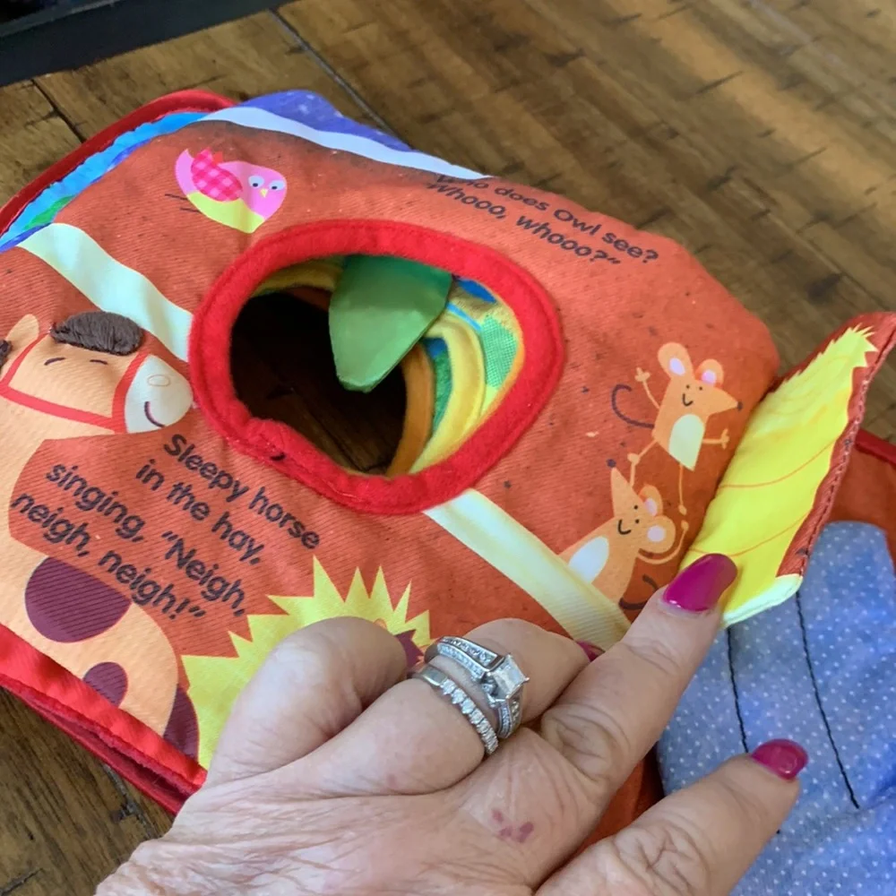 Kidsbooks Who’s there? Owl Book